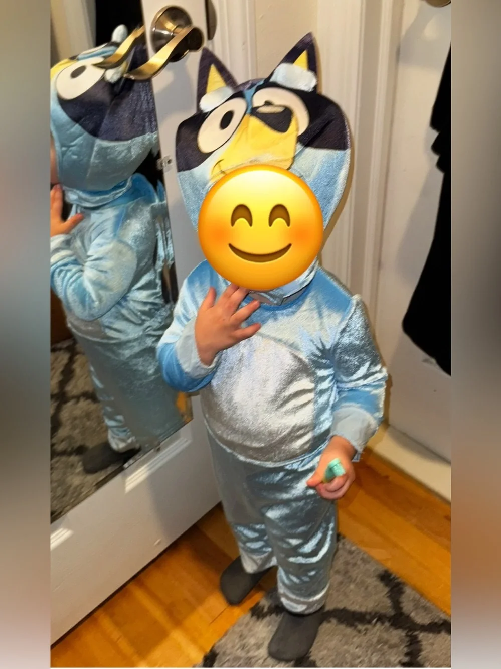 BLUEY Costume! Boys & Girls Unisex Halloween Costume 2T (fits like 18 mo.) EUC
